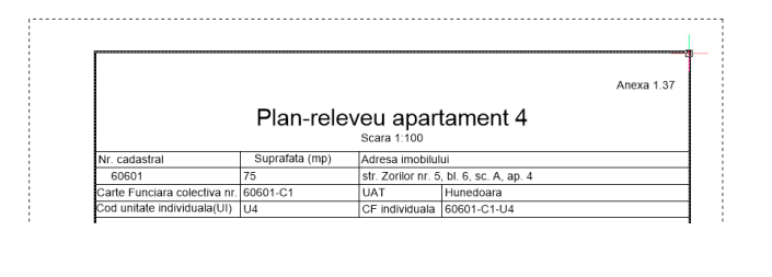 plan releveu apartament topograph topocom.PNG